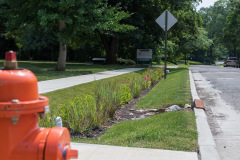 Behind-curb-3