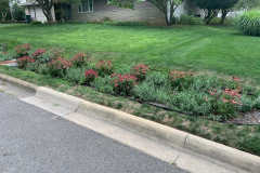 Natural-wall