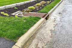 back-wall-with-rain
