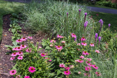 in-bloom-1