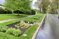 multiple-natural-with-rain